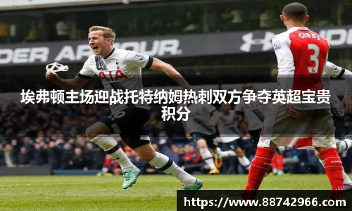 埃弗顿主场迎战托特纳姆热刺双方争夺英超宝贵积分