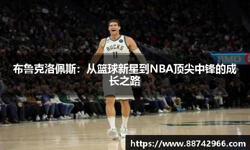 bsports官网登录入口